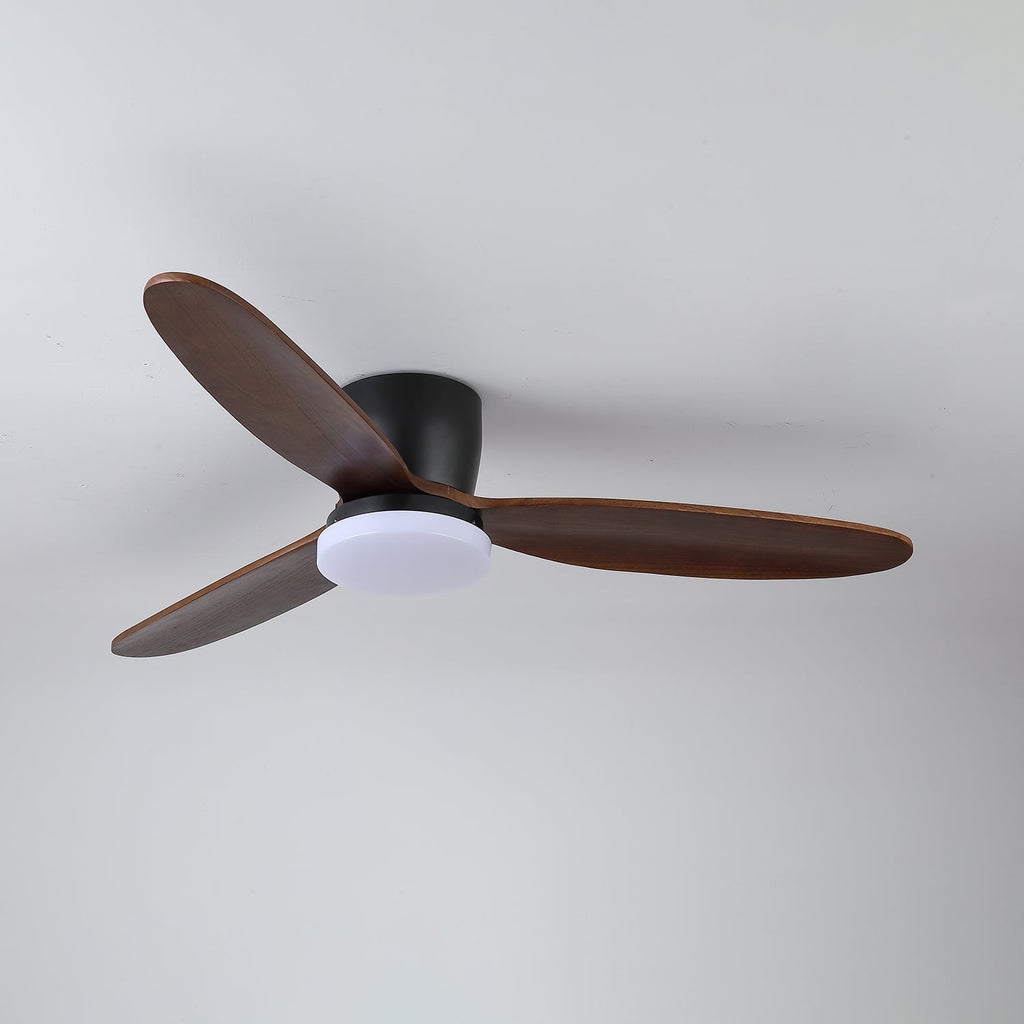 Wing Span Fan Light | Ormexis