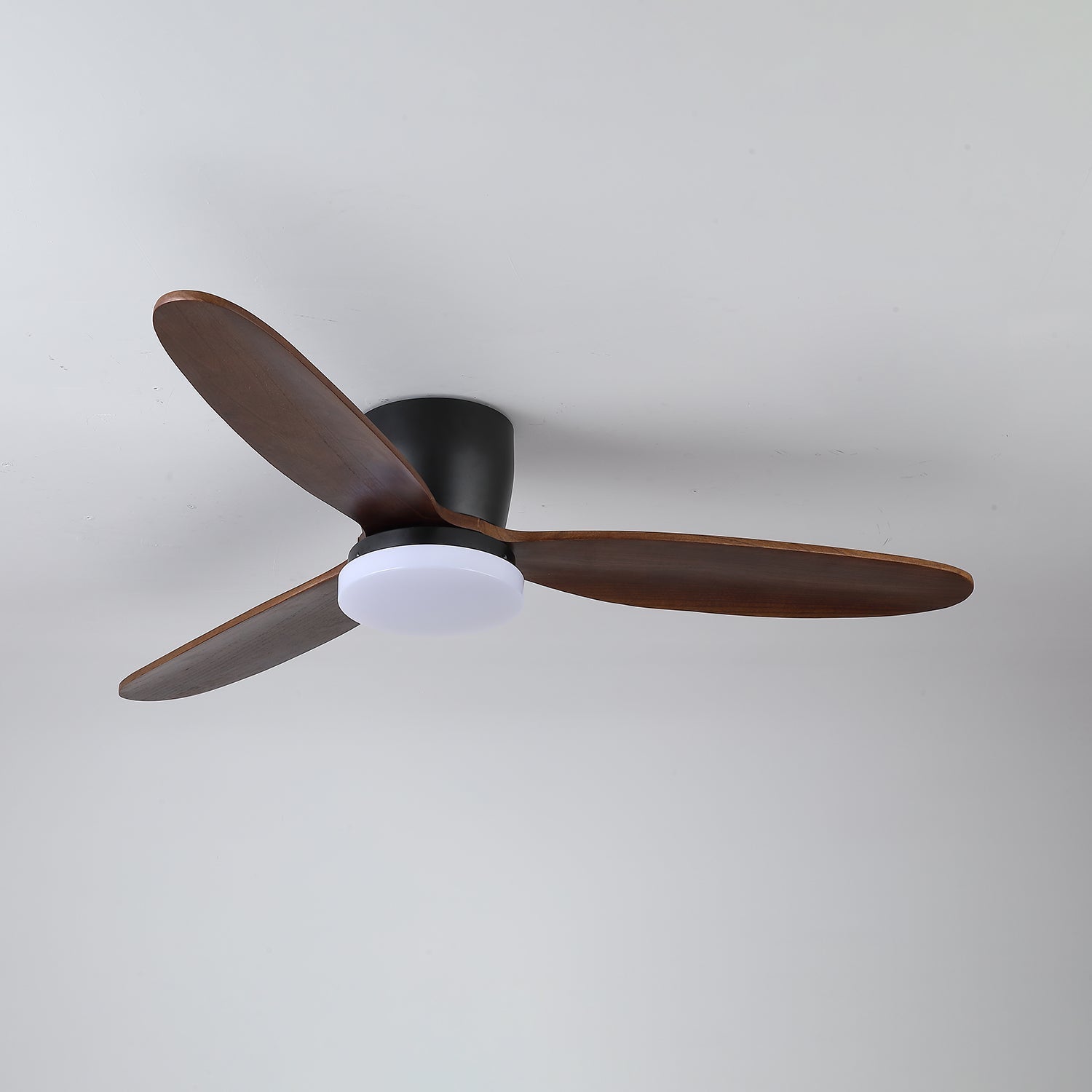 Wing Span Fan Light | Ormexis