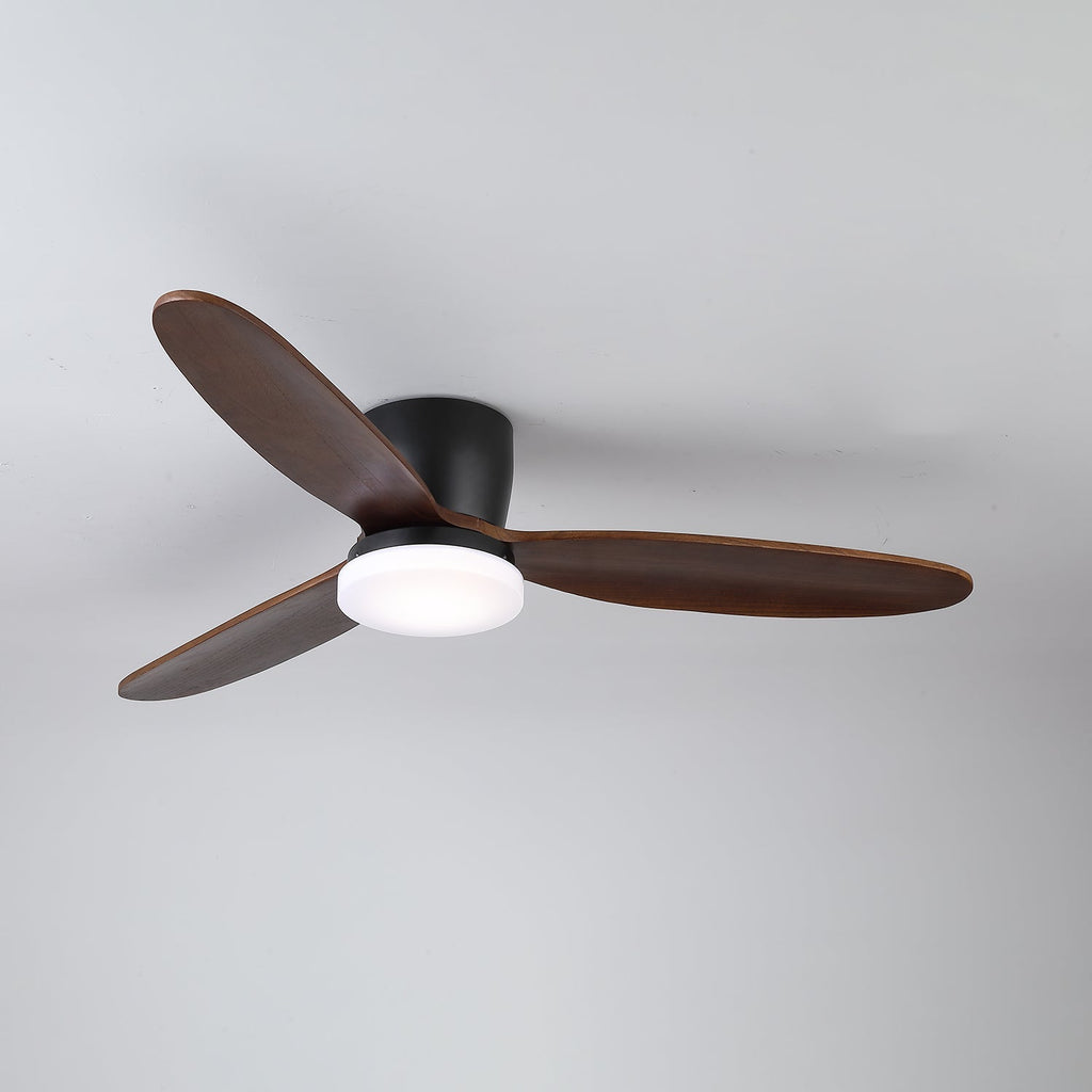 Wing Span Fan Light | Ormexis