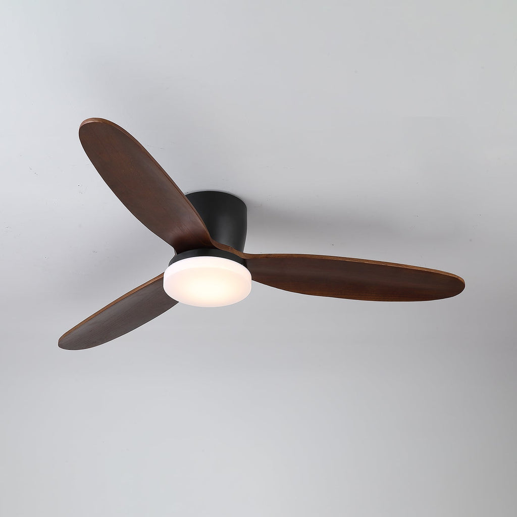 Wing Span Fan Light | Ormexis