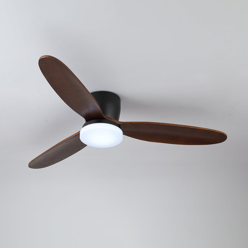 Wing Span Fan Light | Ormexis