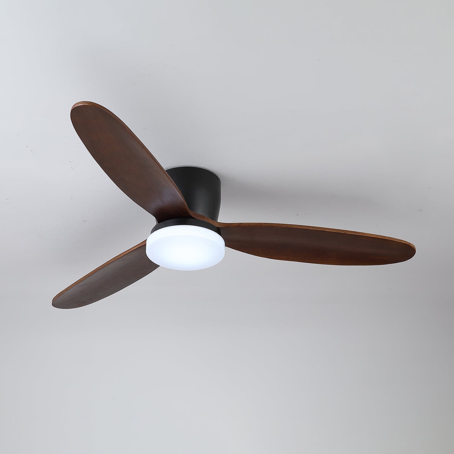 Wing Span Fan Light | Ormexis