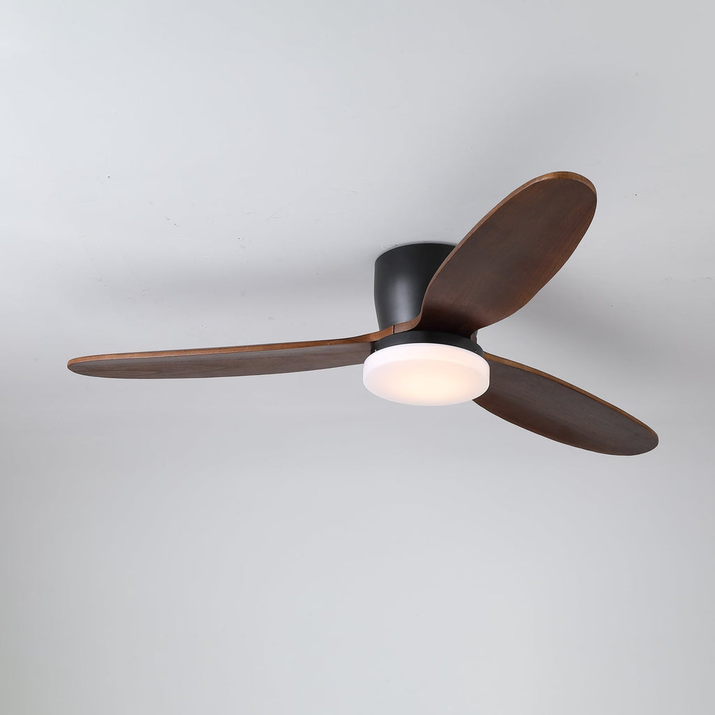 Wing Span Fan Light | Ormexis