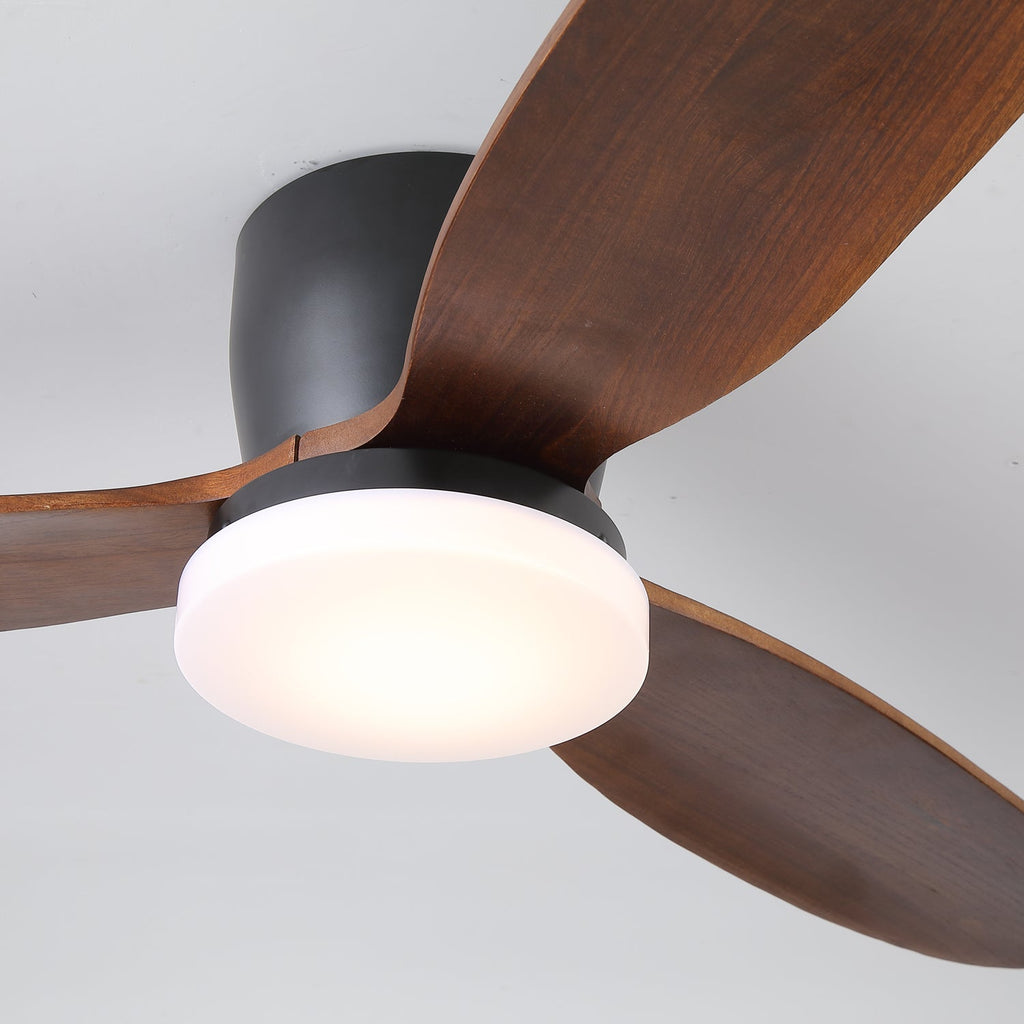 Wing Span Fan Light | Ormexis