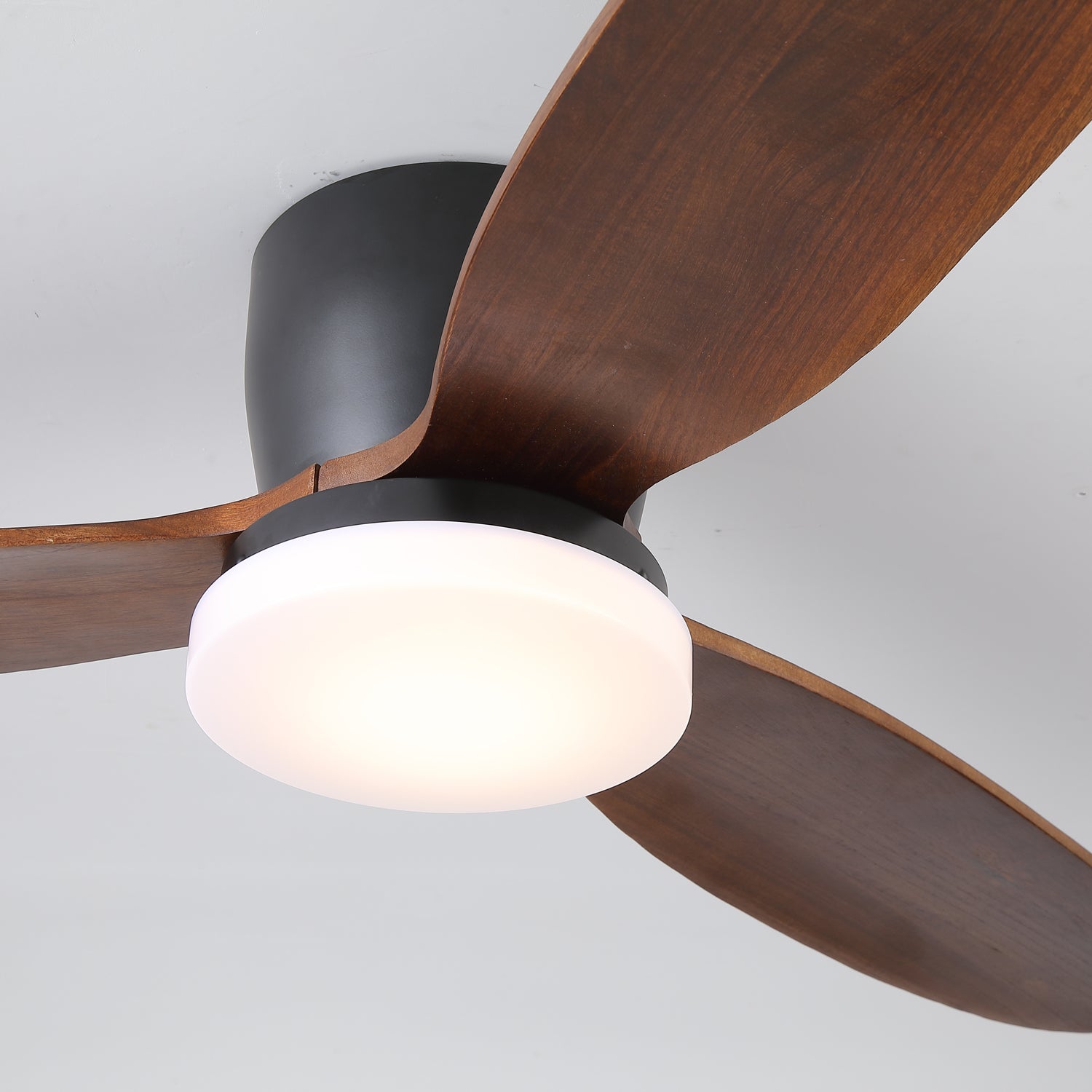 Wing Span Fan Light | Ormexis