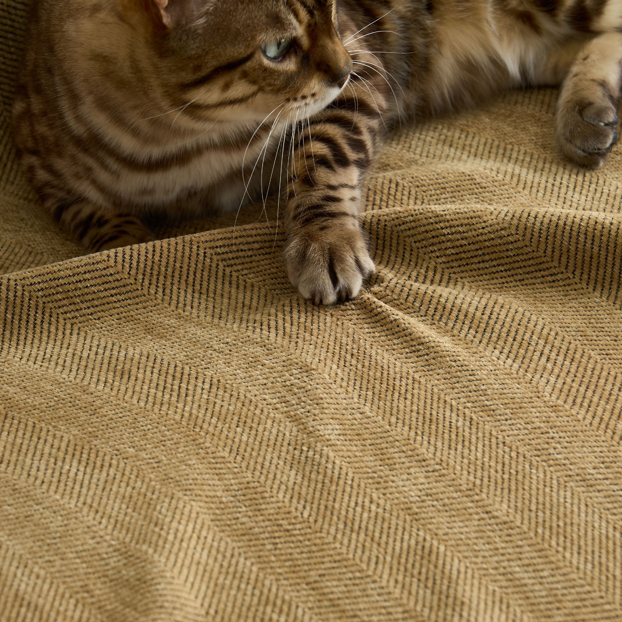 Vertical Stripe Sofa Cover | Ormexis