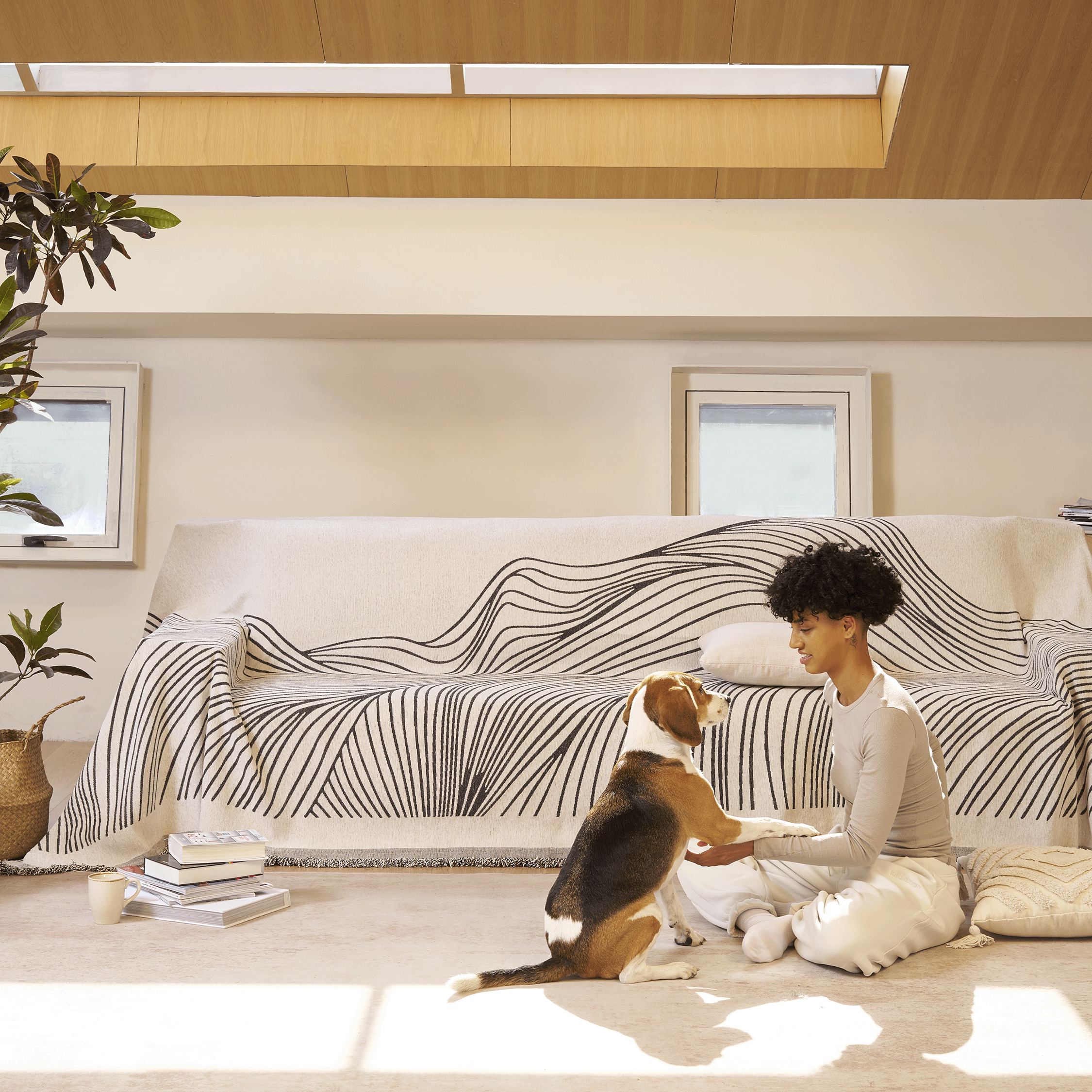 Flow Line Sofa Cover | Ormexis