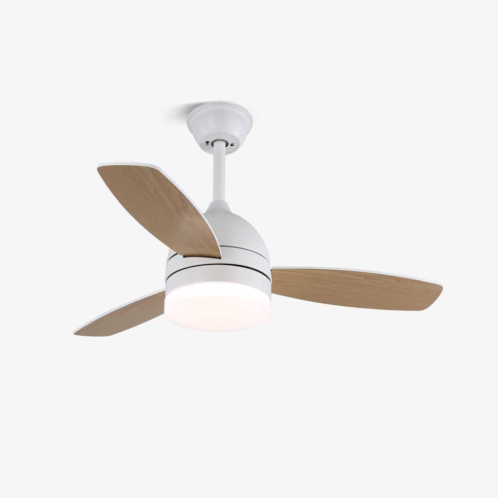 Split Cylinder Fan Light | Ormexis