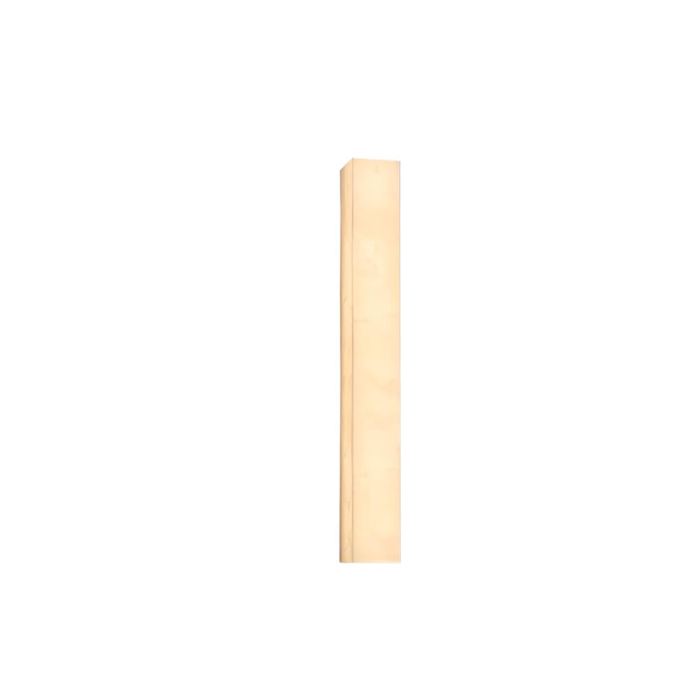 Slim Profile Wall Light | Ormexis