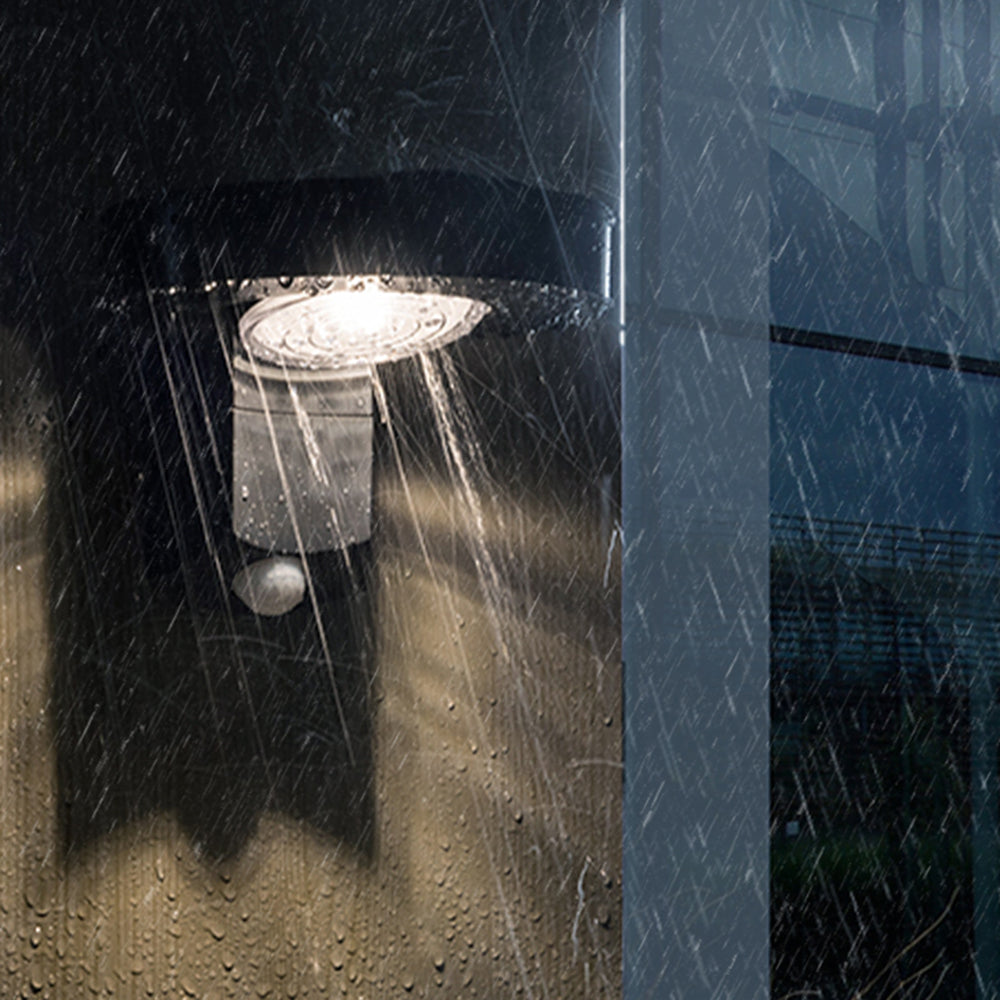 Curated Circular Wall Light | Ormexis