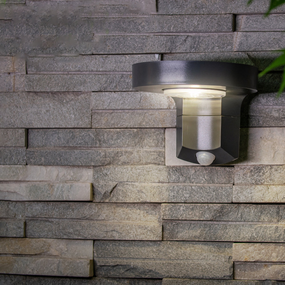 Curated Circular Wall Light | Ormexis