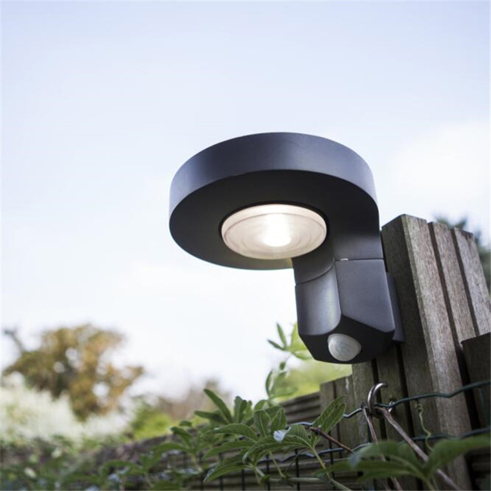 Curated Circular Wall Light | Ormexis