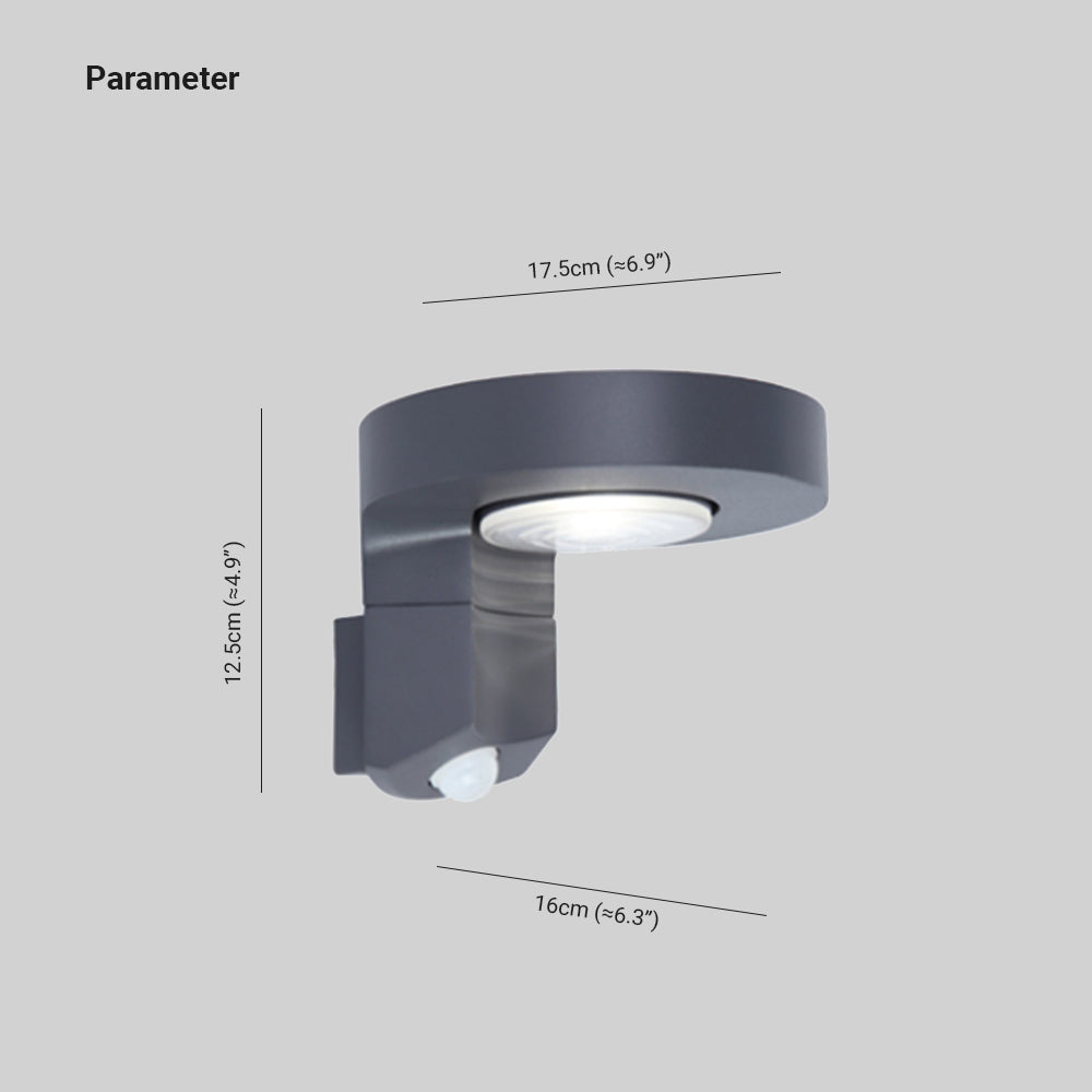 Curated Circular Wall Light | Ormexis