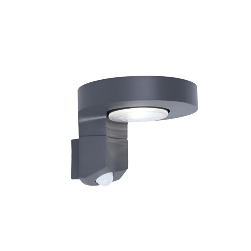 Curated Circular Wall Light | Ormexis