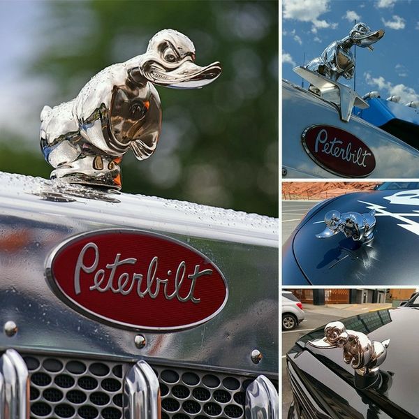 Adventure Duck chromovaná kapota ozdoba, gumová nálepka pro automobilové nadšence - Ormexis