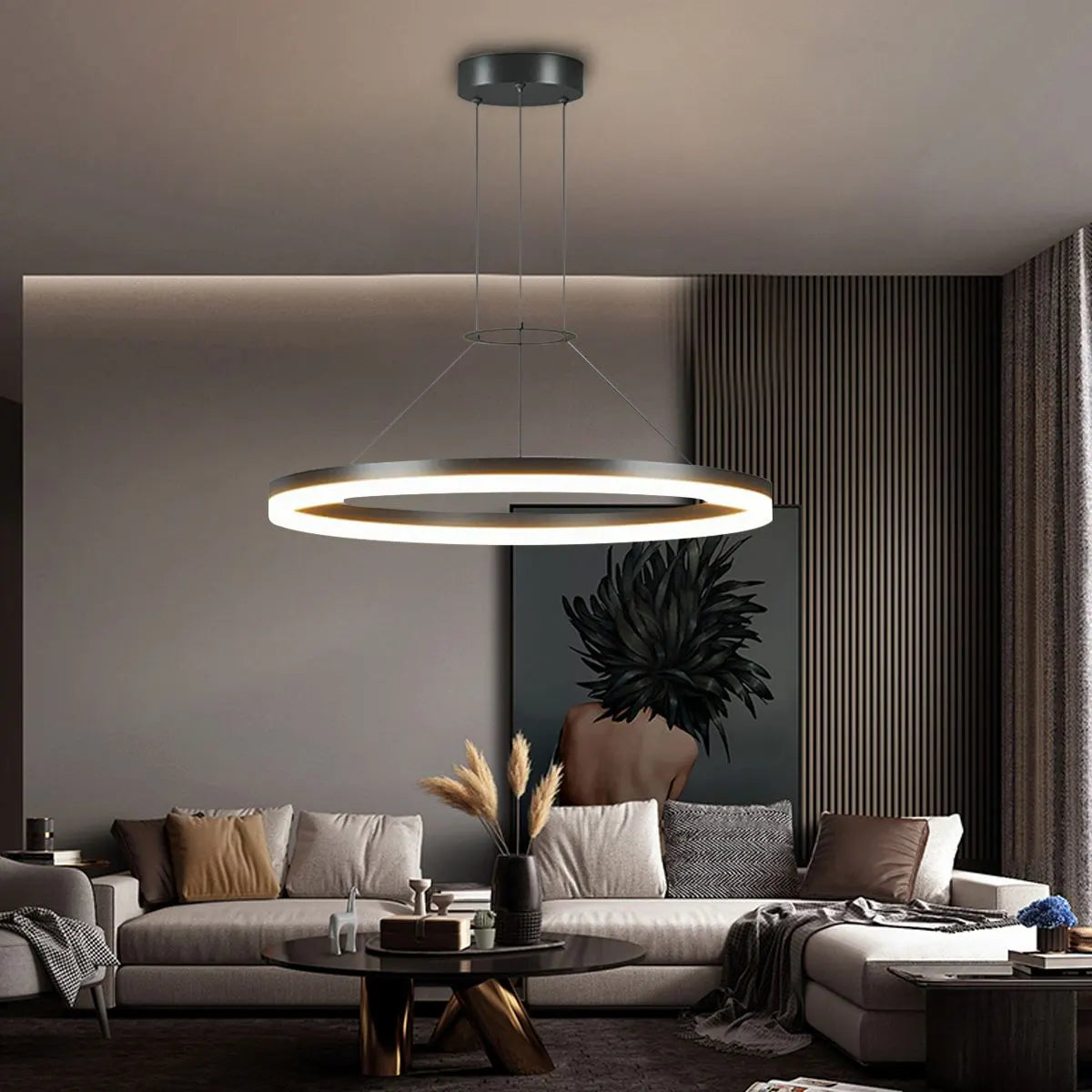 Round Pendant Light For Living Rooms And Kitchens With LED