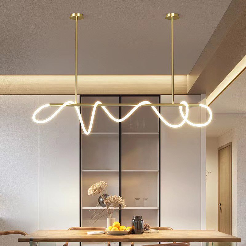 Pendant Light With Long Hose For Dining Room Modern LED Fixture