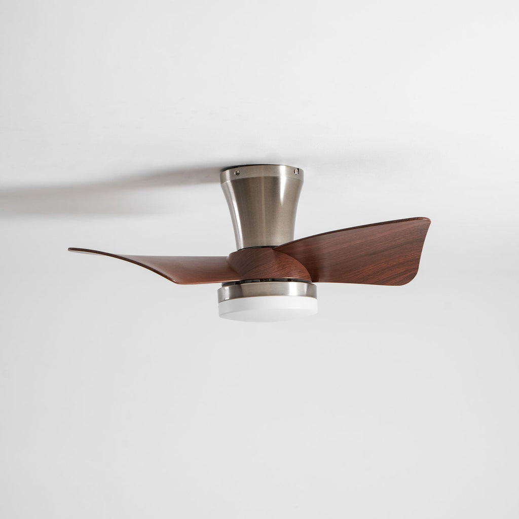 Petal Sweep Ceiling Fan Light | Ormexis