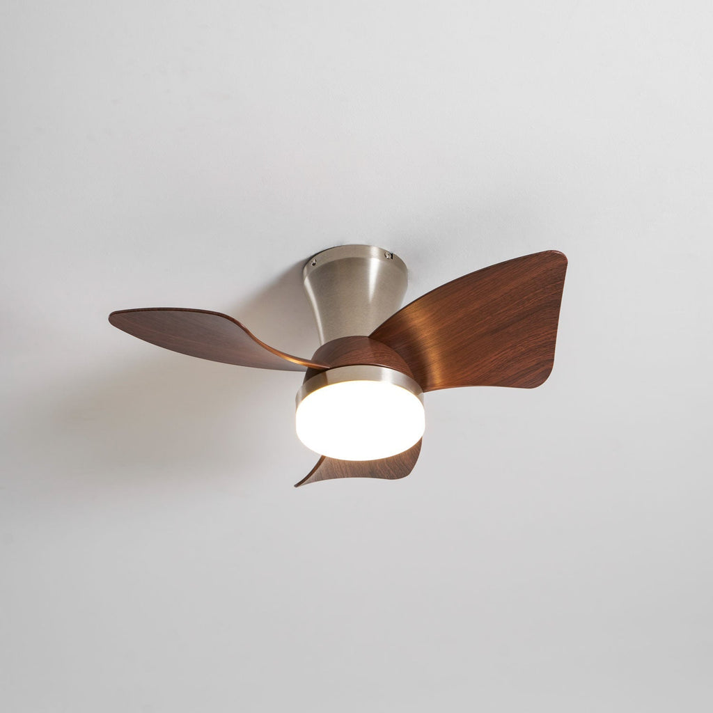 Petal Sweep Ceiling Fan Light | Ormexis