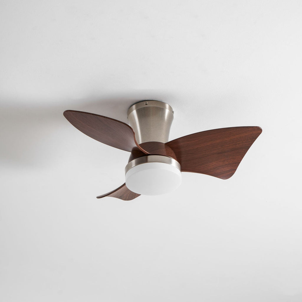 Petal Sweep Ceiling Fan Light | Ormexis