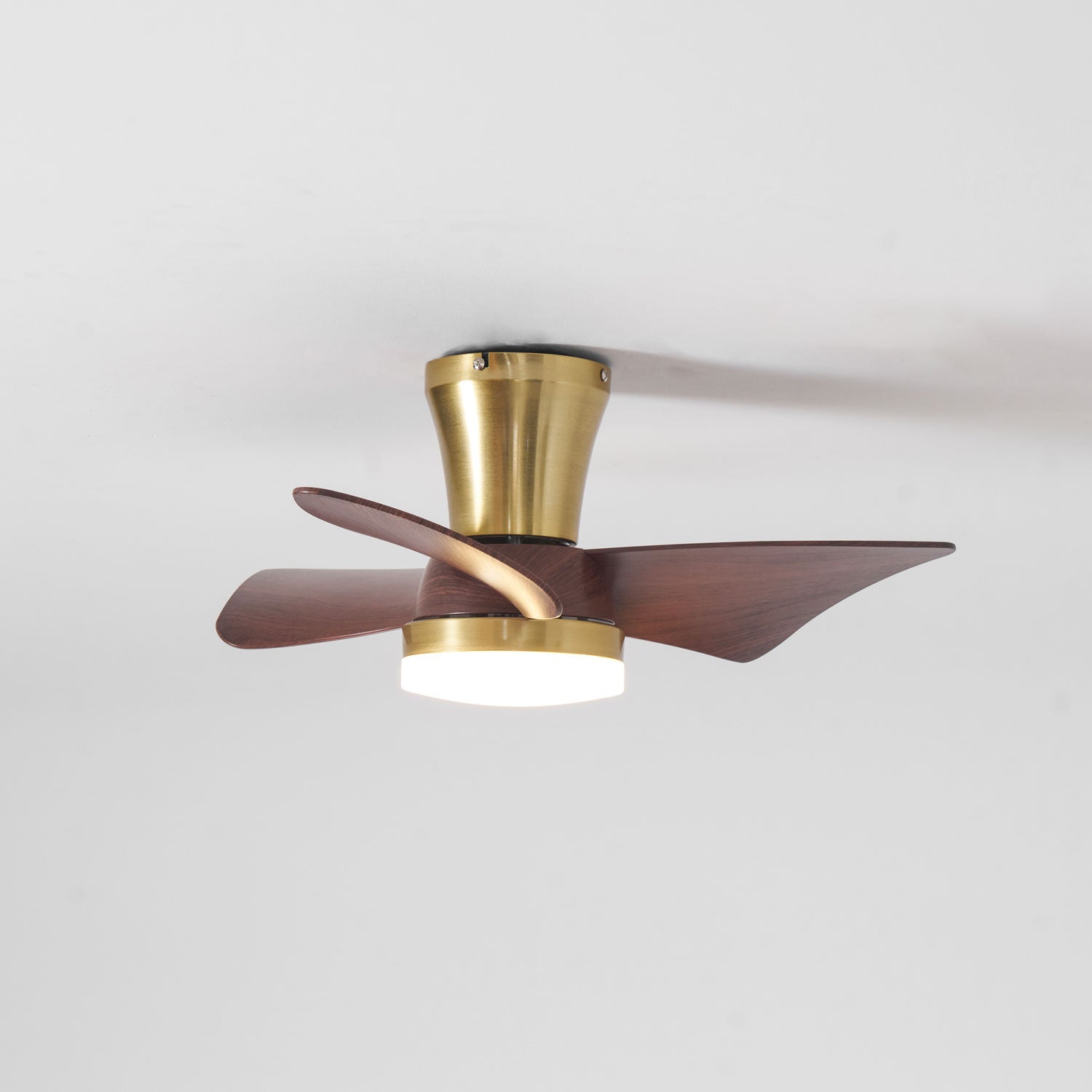 Petal Sweep Ceiling Fan Light | Ormexis