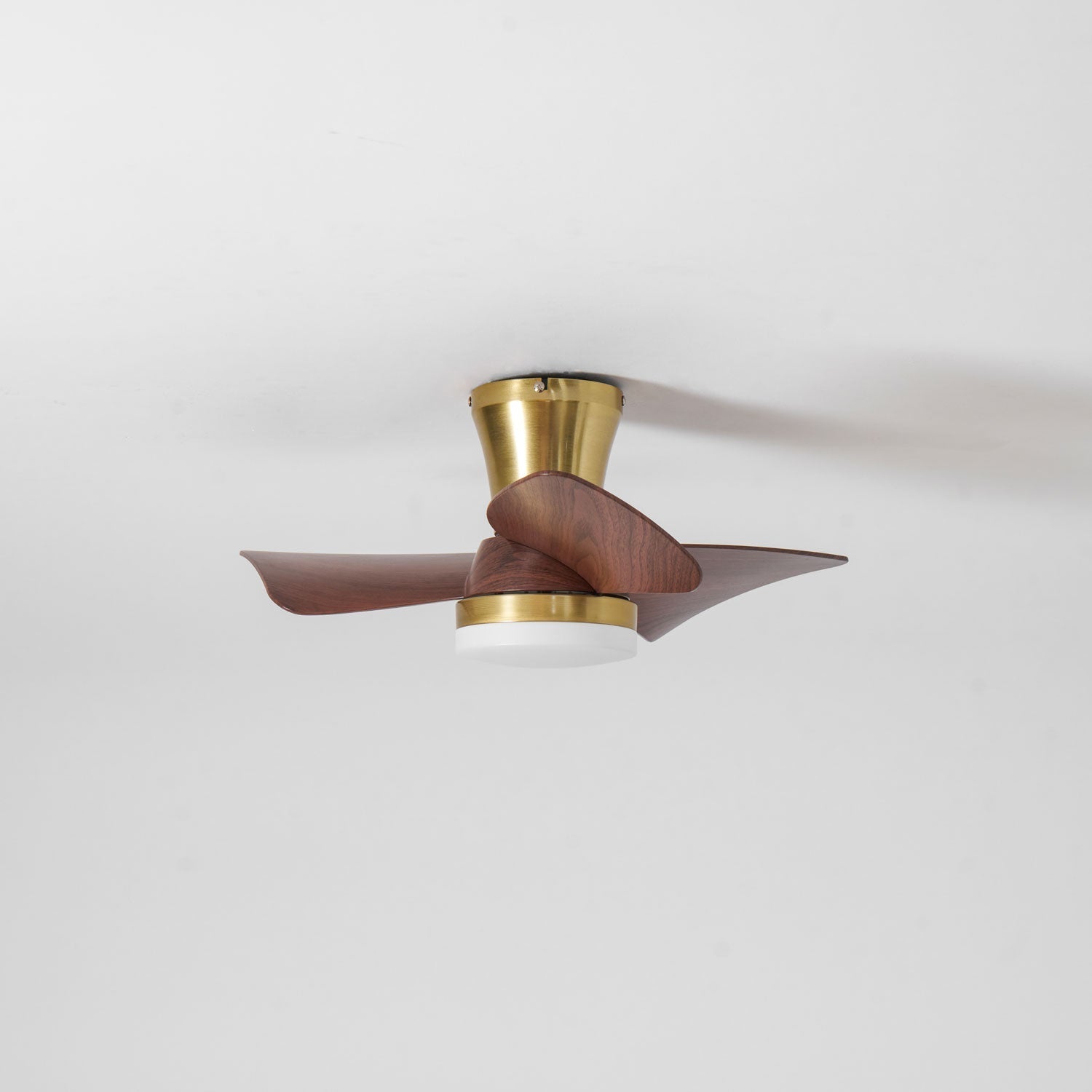 Petal Sweep Ceiling Fan Light | Ormexis