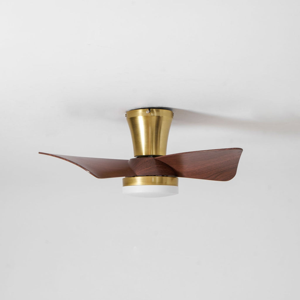 Petal Sweep Ceiling Fan Light | Ormexis