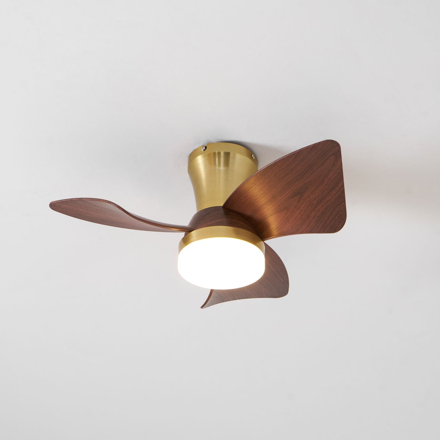 Petal Sweep Ceiling Fan Light | Ormexis