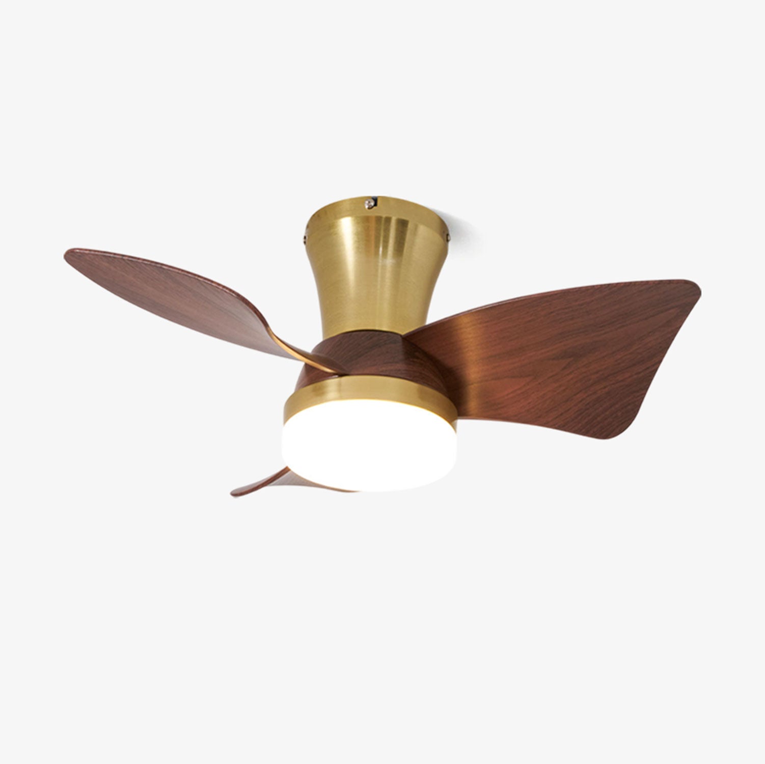 Petal Sweep Ceiling Fan Light | Ormexis
