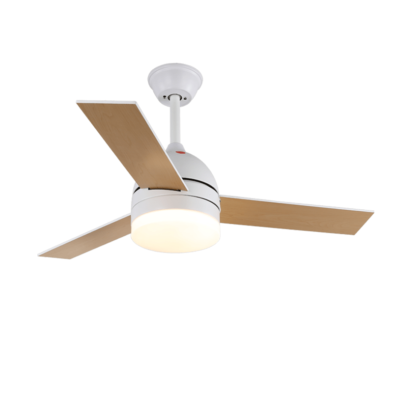 Split Cylinder Fan Light | Ormexis