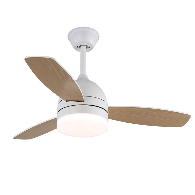 Split Cylinder Fan Light | Ormexis