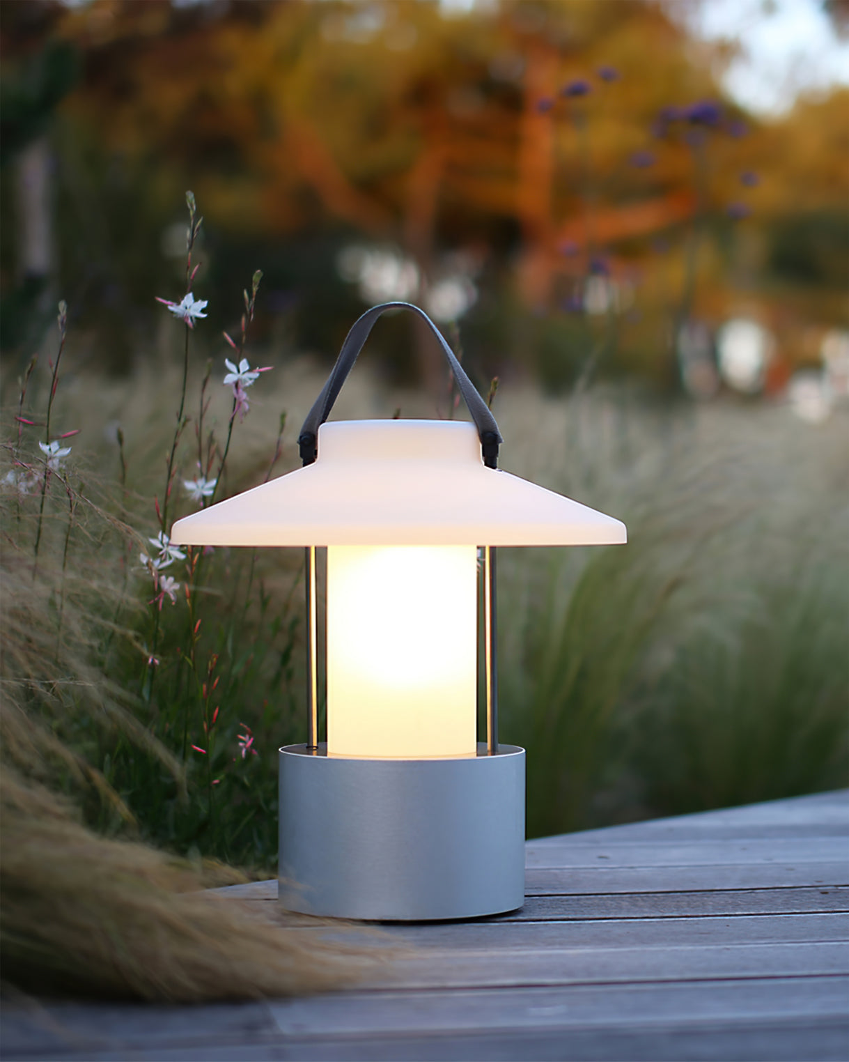 Vesper Canopy Lantern Light | Ormexis