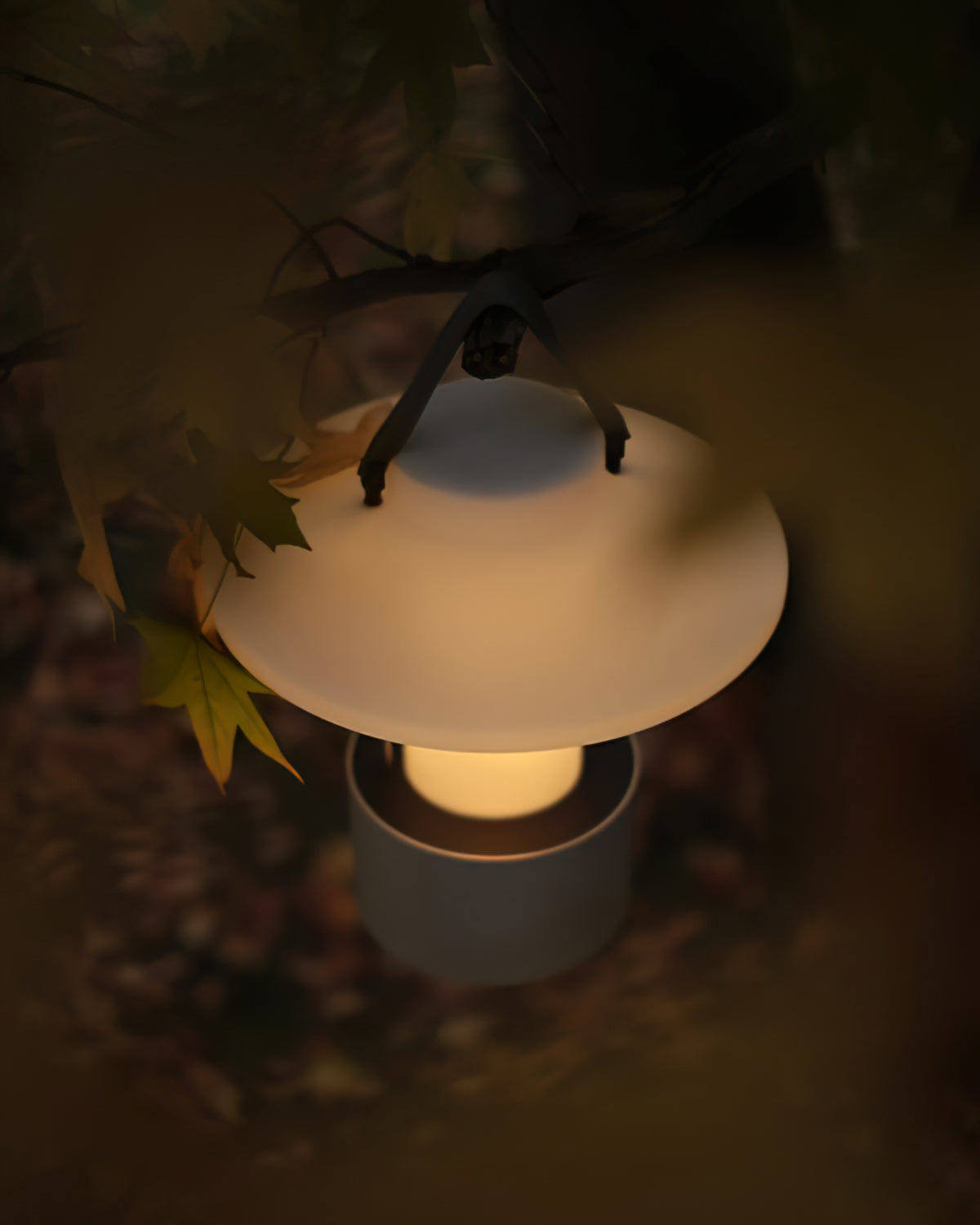Vesper Canopy Lantern Light | Ormexis