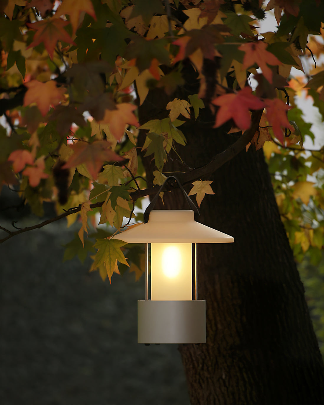 Vesper Canopy Lantern Light | Ormexis