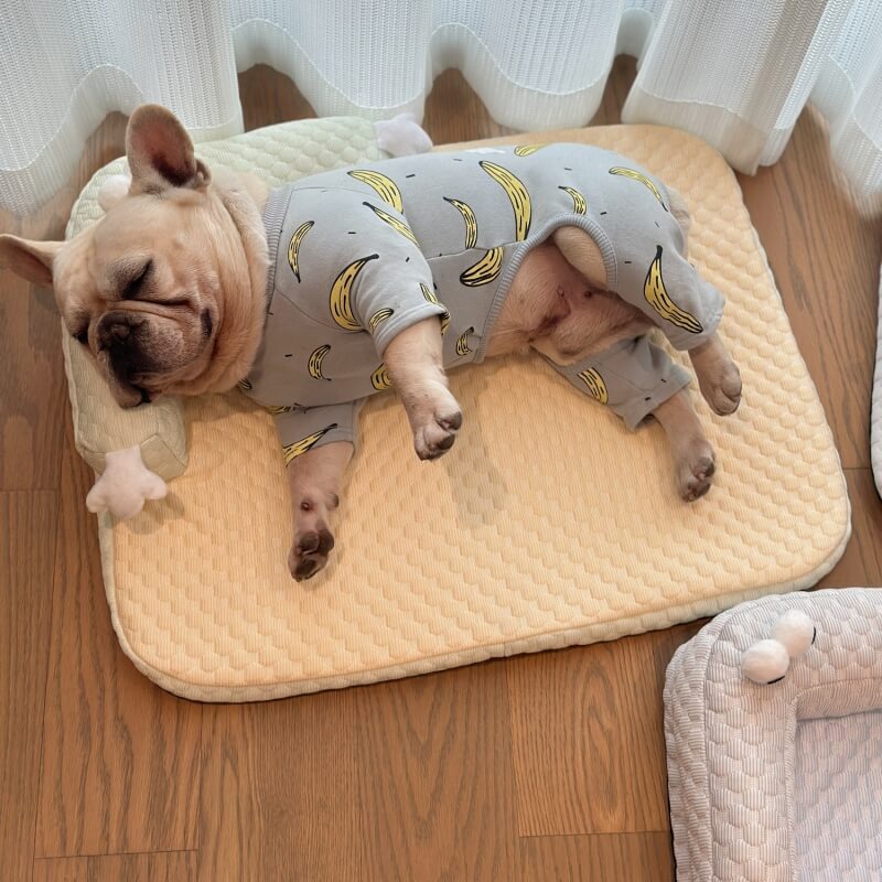 Lit de refroidissement avancé pour chien avec base stable pour un confort ultime - Ormexis