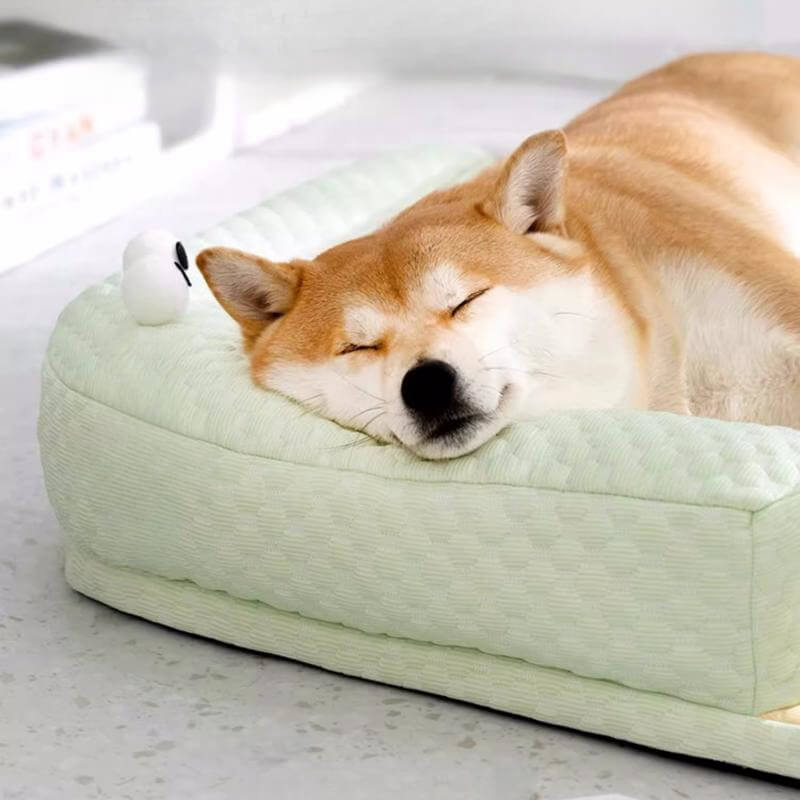 Lit de refroidissement avancé pour chien avec base stable pour un confort ultime - Ormexis