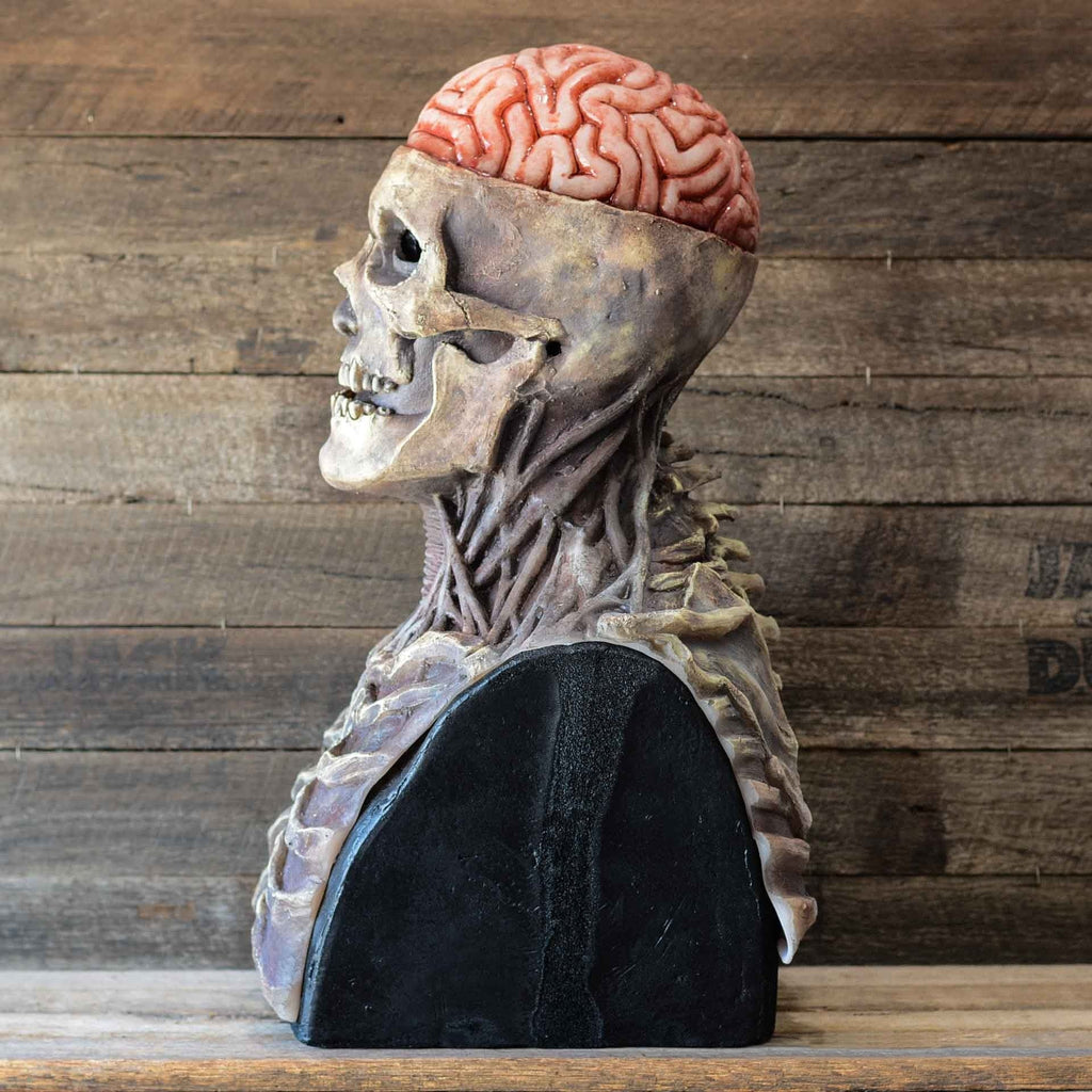 Realistische Skelettmaske mit beweglichem Kiefer für Halloween