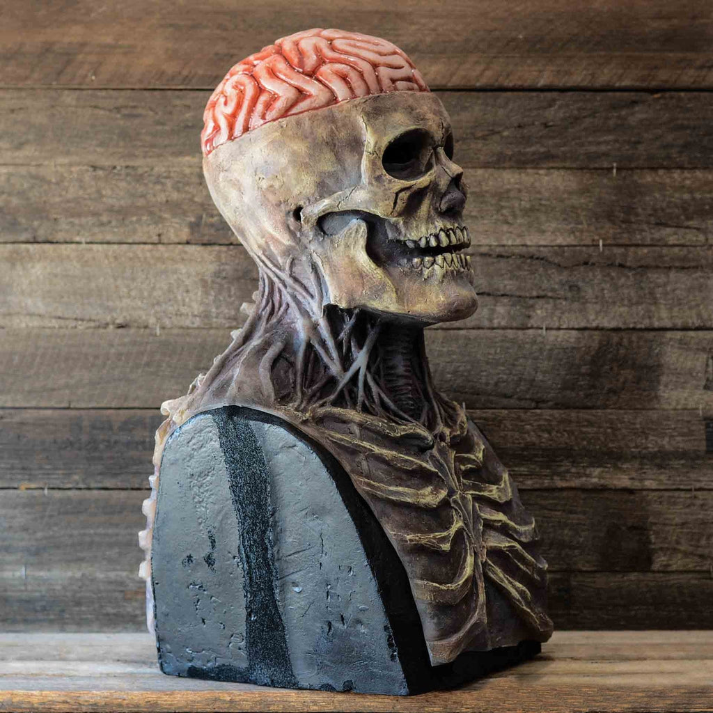 Realistische Skelettmaske mit beweglichem Kiefer für Halloween