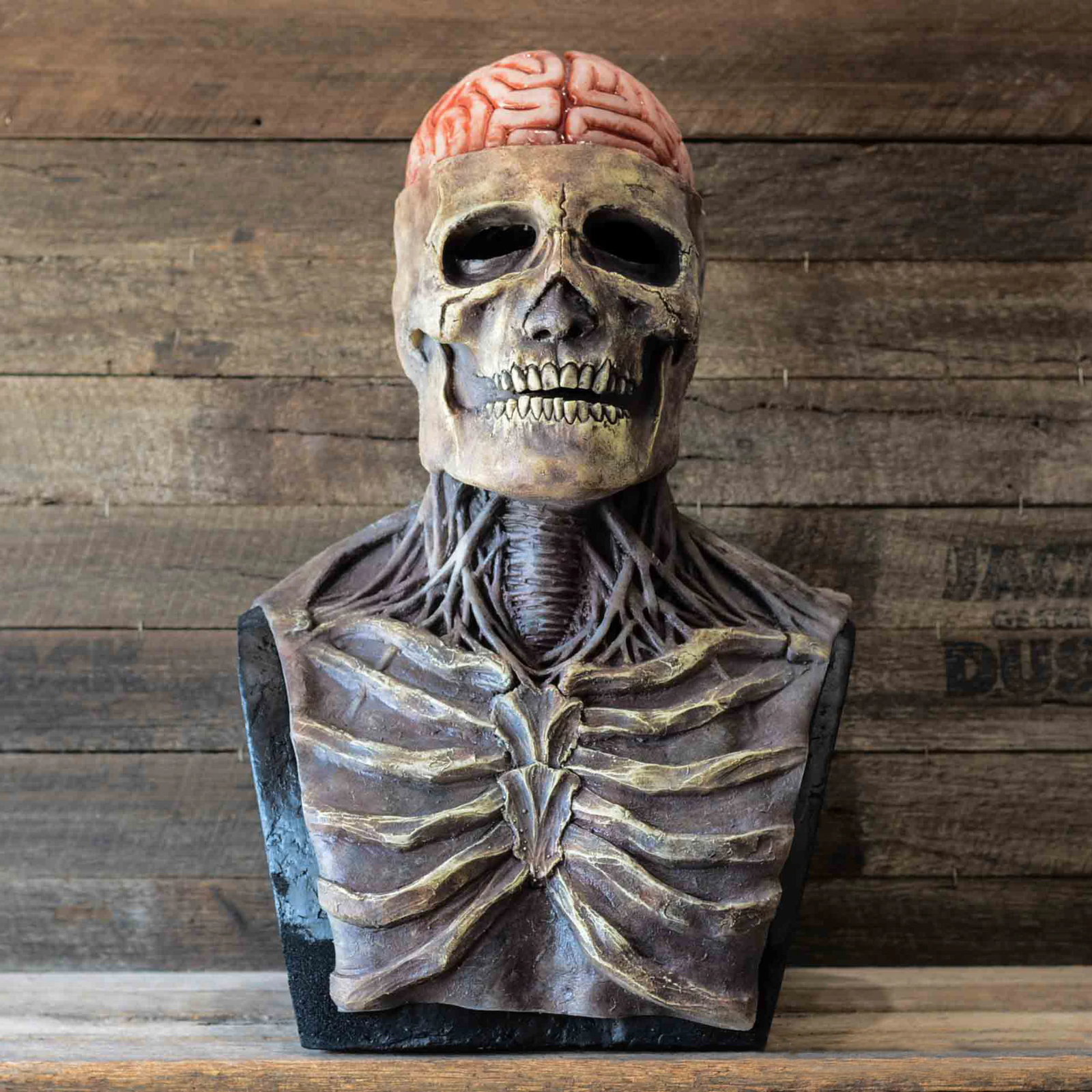 Realistische Skelettmaske mit beweglichem Kiefer für Halloween