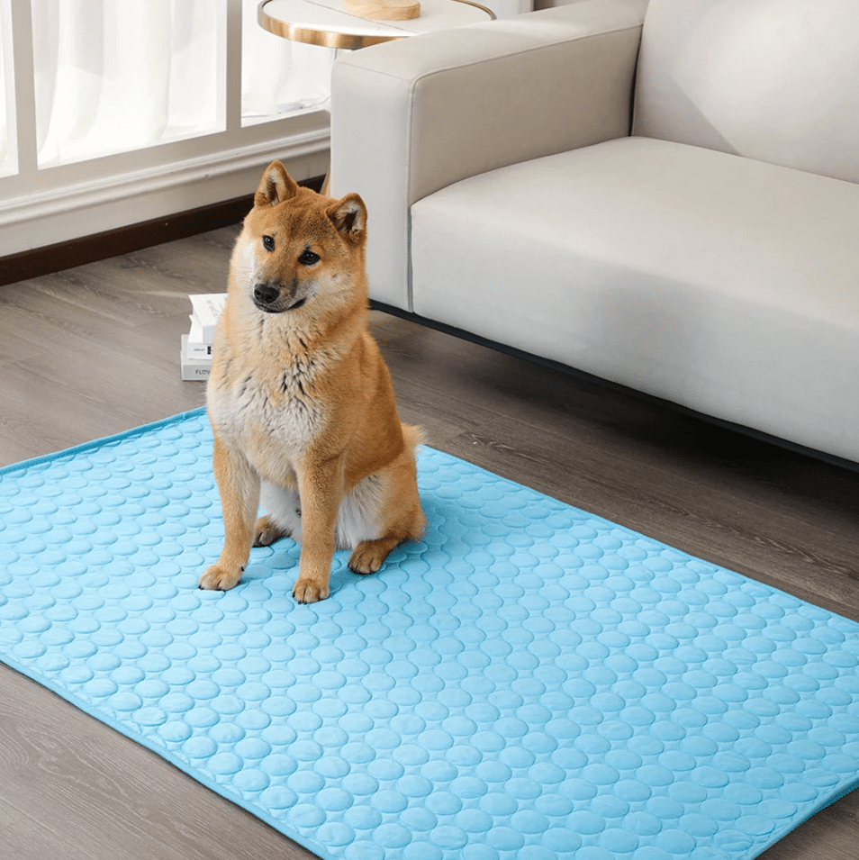 DogCool Cooling Mat With Activated Gel For Hot Days