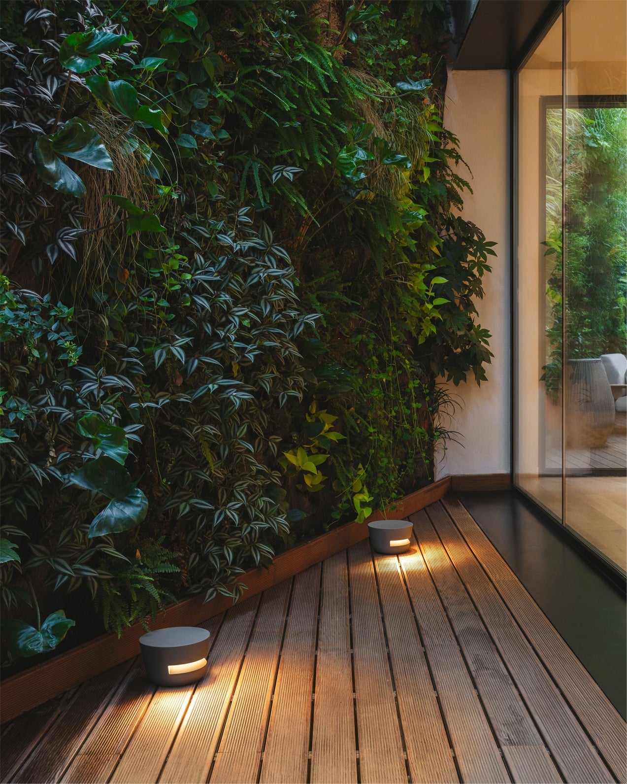 Equinox Beacon Light | Ormexis