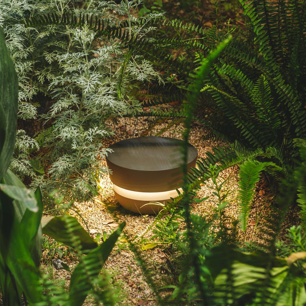 Equinox Beacon Light | Ormexis