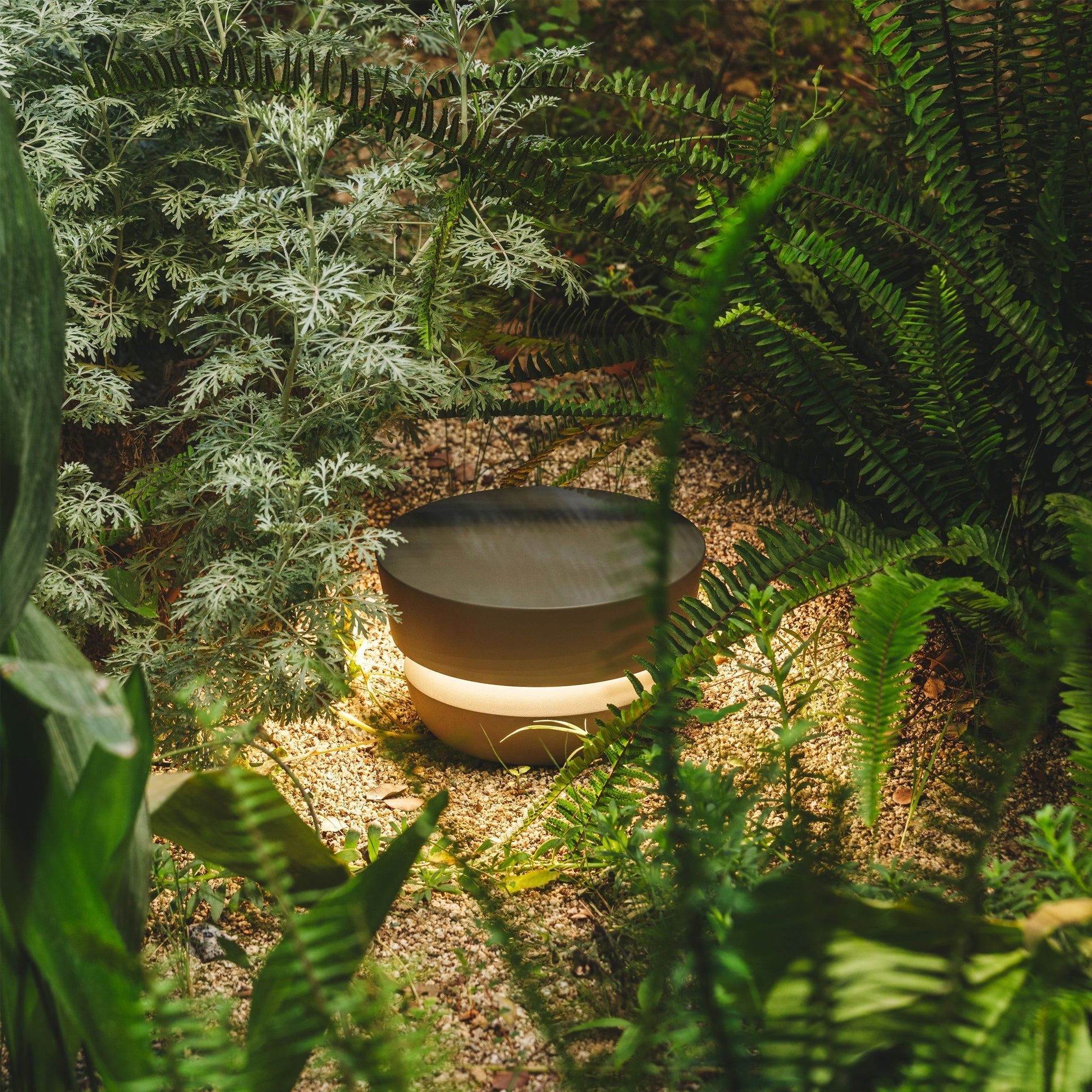 Equinox Beacon Light | Ormexis