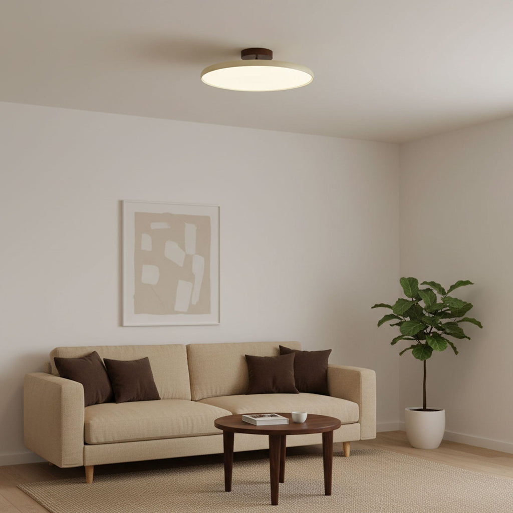 Vintage Adjustable Ceiling Lamp | Ormexis