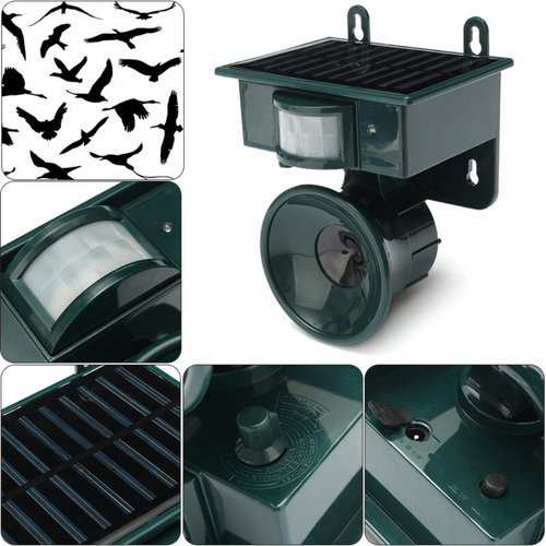 EcoGuard Motion Sensor Bird Deterrent With Natural Sounds