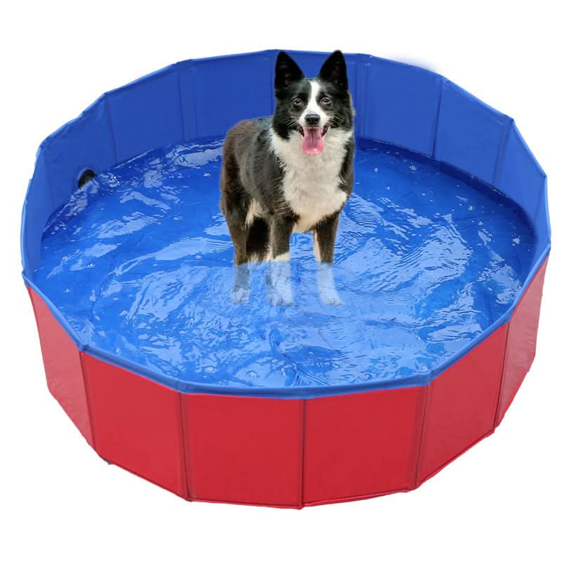 Sammenklappelig PVC-hundepool med oppustningsfri design til sommerens sjov