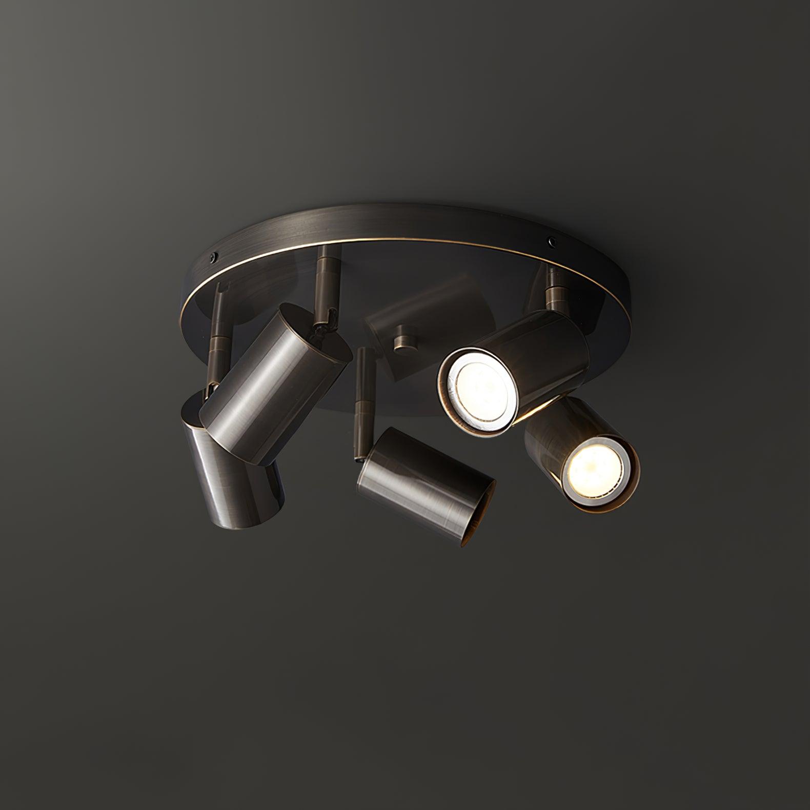 Modern Hugo Hotspot Adjustable Multi-Head Ceiling Light | Ormexis