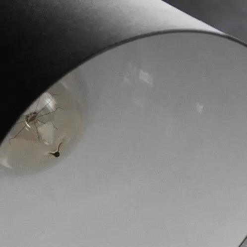 Meridian Cone Wall Sconce | Ormexis