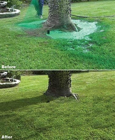 Soluție pentru îngrijirea gazonului, spray lichid hrănitor pentru peluze verzi și dese