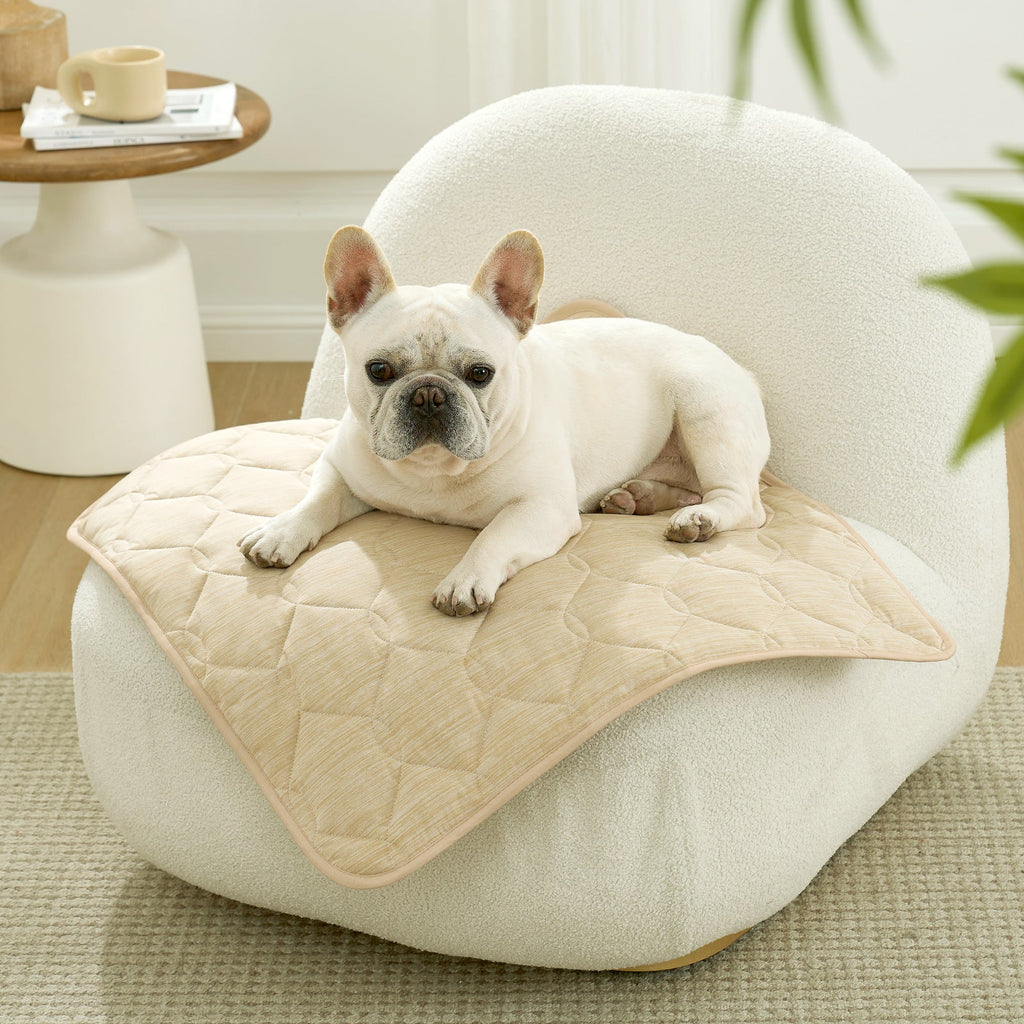 Housse de canapé pour animaux Qmax Cooling, protecteur étanche pour une détente sans stress